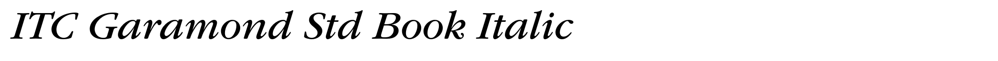 ITC Garamond Std Book Italic image